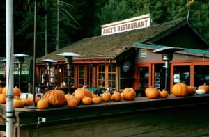 Alice's Restaurant benefits victims of the Camp Fire